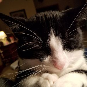 Meet your Posher, Beth